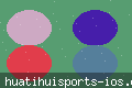 华体会体育APP