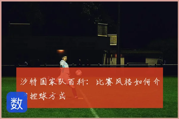 沙特国家队百科:比赛风格如何介绍控球方式